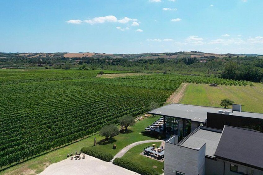 Visit to the cellar and tasting 2