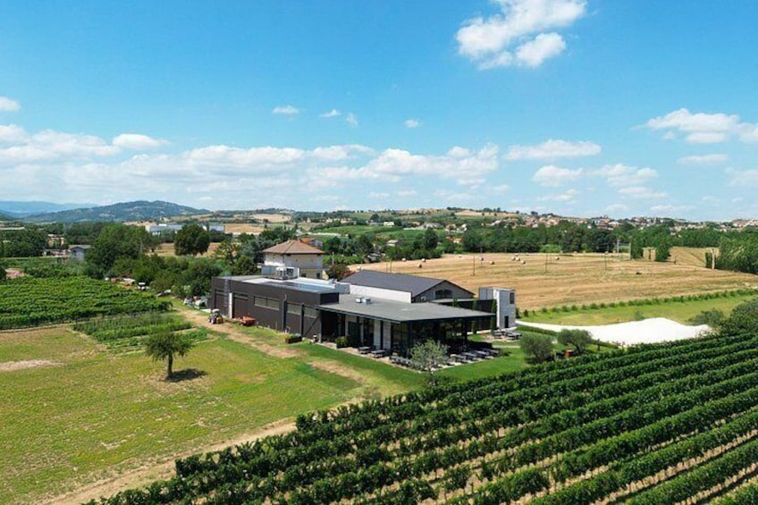 Visit to the cellar and tasting 2