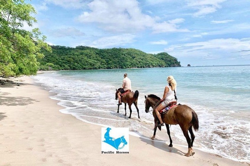 Zwei Personen reiten auf dem Pferd am Strand, im Hintergrund eine bewaldete Insel. 1