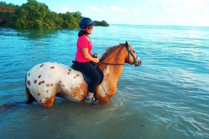 Mnemba Island Dolphin Tour, Clear Kayak, Cooking Class Tour, Horseback Riding. 4
