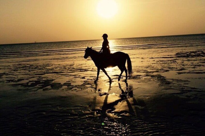 Mnemba Island Dolphin Tour, Clear Kayak, Cooking Class Tour, Horseback Riding. 2