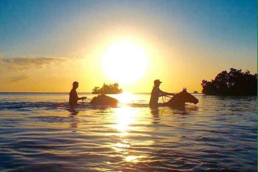 Mnemba Island Dolphin Tour, Clear Kayak, Cooking Class Tour, Horseback Riding. 5