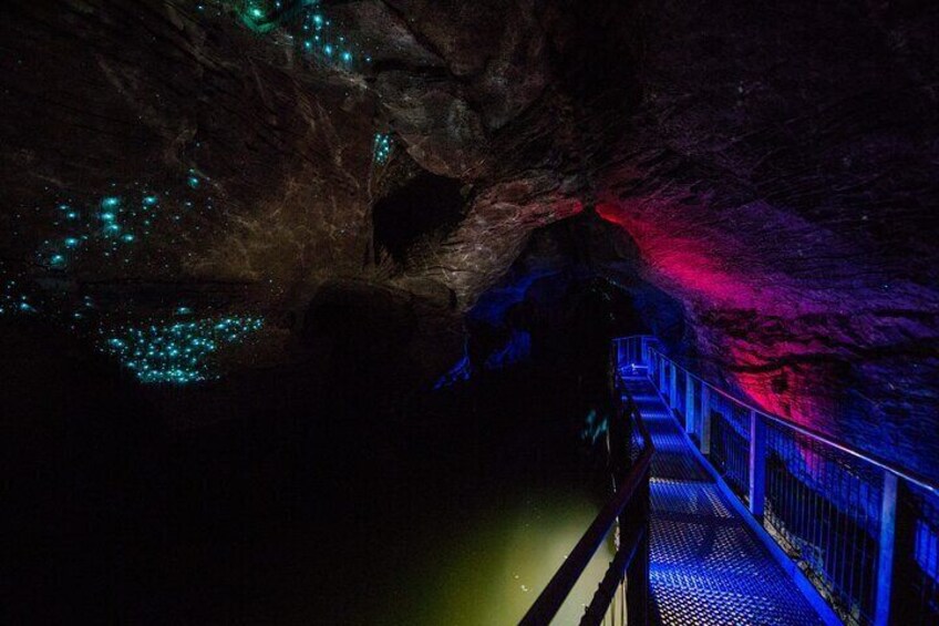 Ruakuri Cave