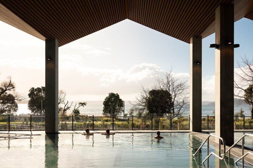 Restorative Wellness & Forest Treewalk Private Tour From Auckland 1
