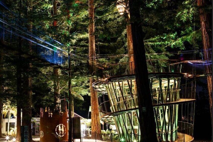 Restorative Wellness & Forest Treewalk Private Tour From Auckland 3