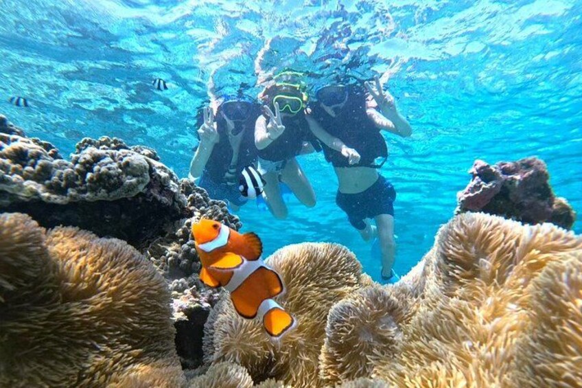 Okinawa Miyako Half Day Sea Turtle Snorkel with Free Photos 2