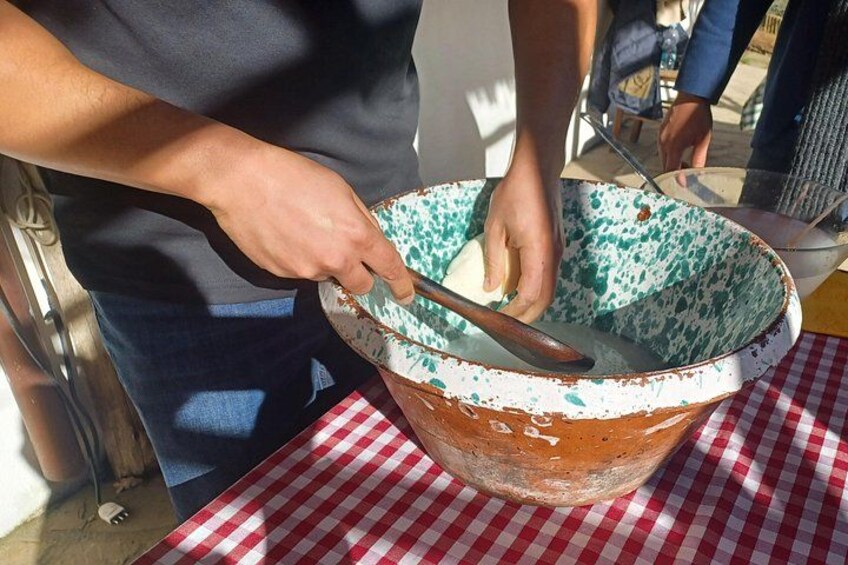 Authentic Farm Tour with Pizza, Cheese, Wine & Limoncello Tasting 2