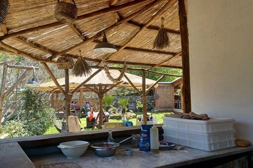 Authentic Farm Tour with Pizza, Cheese, Wine & Limoncello Tasting 4