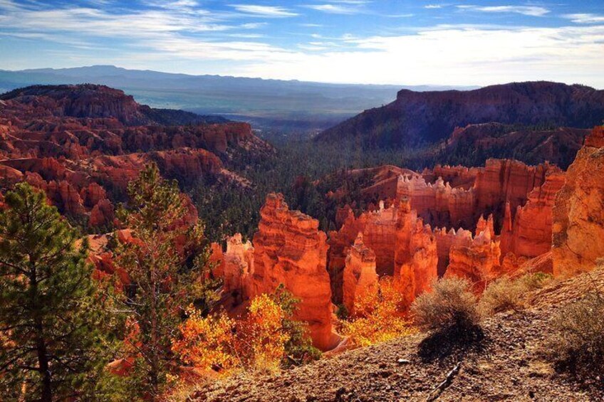 Un canyon con formazioni rocciose rosse e fitta vegetazione autunnale. 2