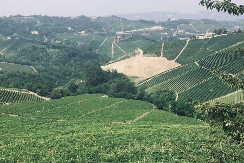 Private Barolo Wine Tour with Winemaker from Turin 5