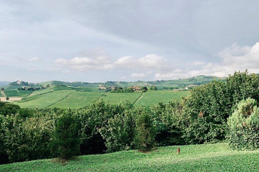 Private Barolo Wine Tour with Winemaker from Turin 4