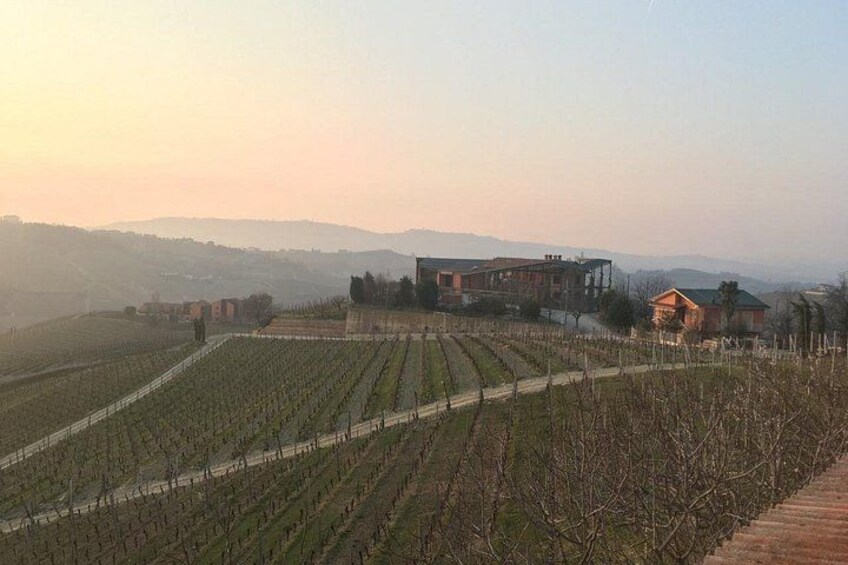 Private Barolo Wine Tour with Winemaker from Turin 3