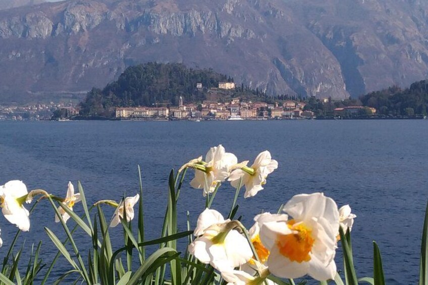 Day tour from Milan: Lake Como & Bellagio Cruise- Semi private 4