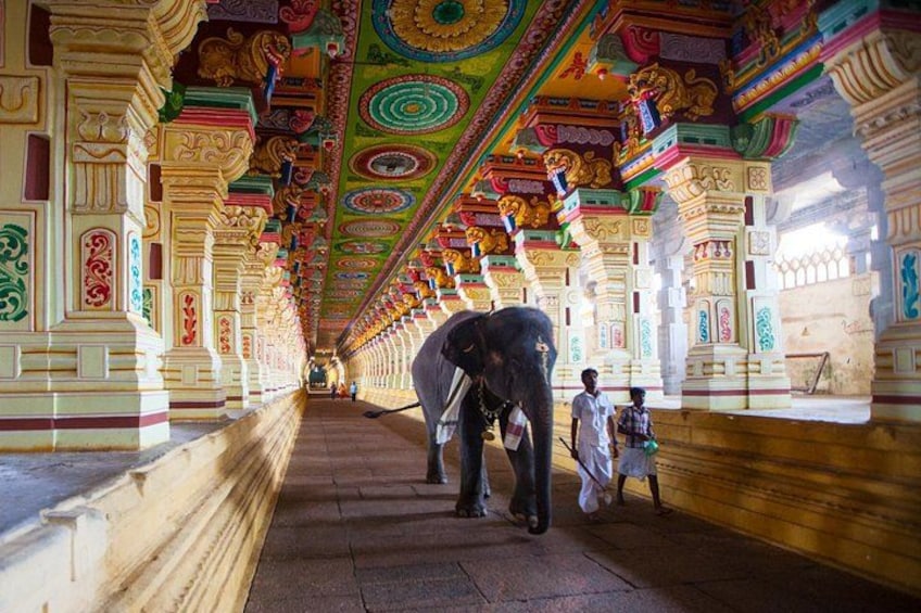An elephant in a corridor with ornate architecture and columns. 4