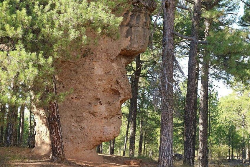 Excursion to the Enchanted City from Cuenca 5