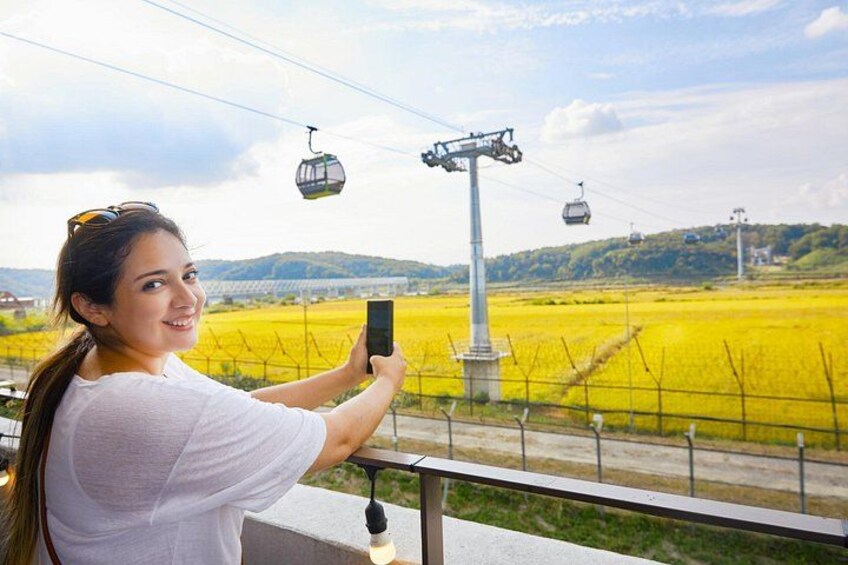 A person taking a photo with a smartphone, a cable car system, and a field of yellow flowers. 5