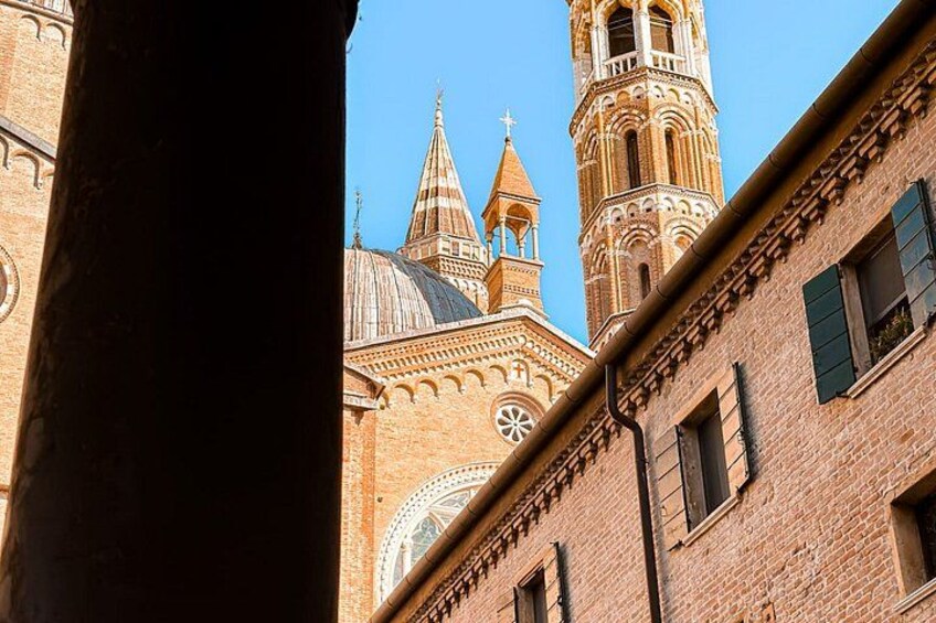 Live Padua as a local 2