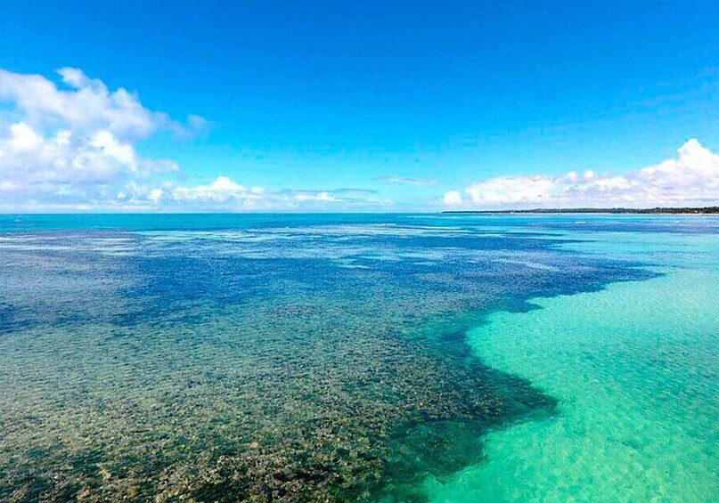 Full-Day Excursion to Paripueira Beach