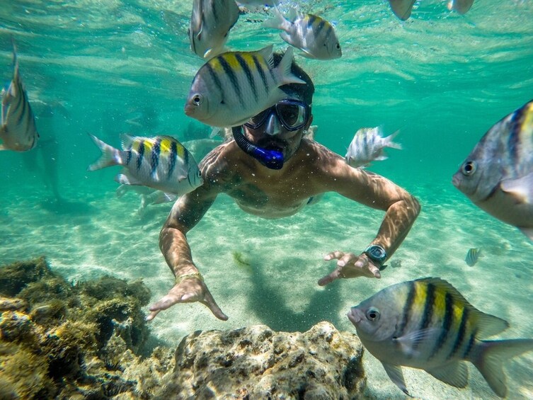 Full-Day Excursion to Paripueira Beach