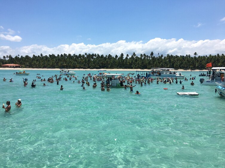 Full-Day Excursion to Maragogi Beach