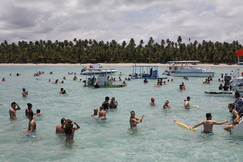 Full-Day Excursion to Maragogi Beach