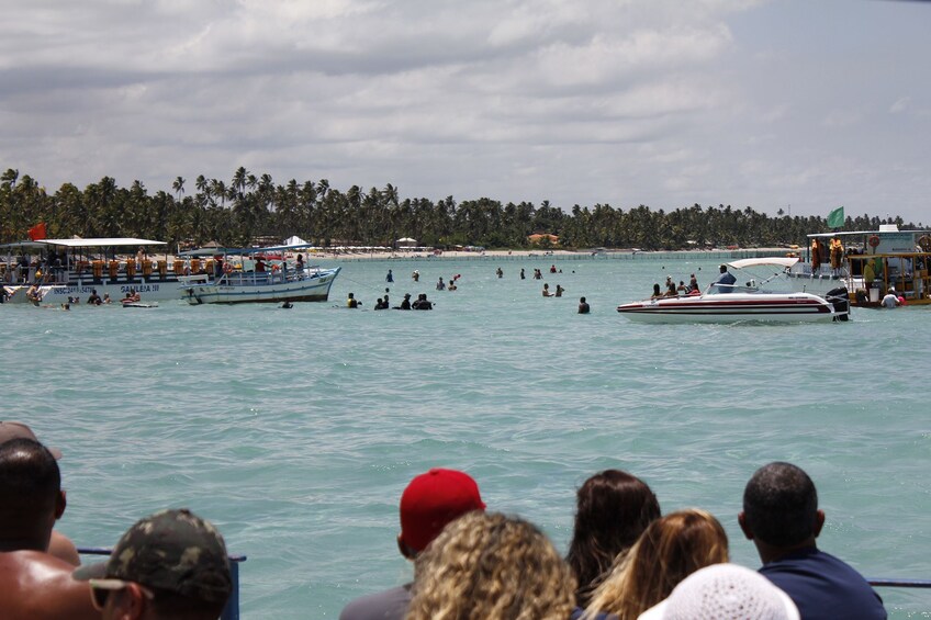 Full-Day Excursion to Maragogi Beach