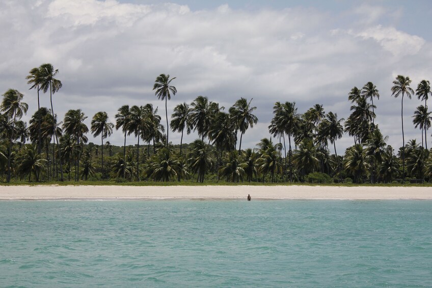 Full-Day Excursion to Maragogi Beach