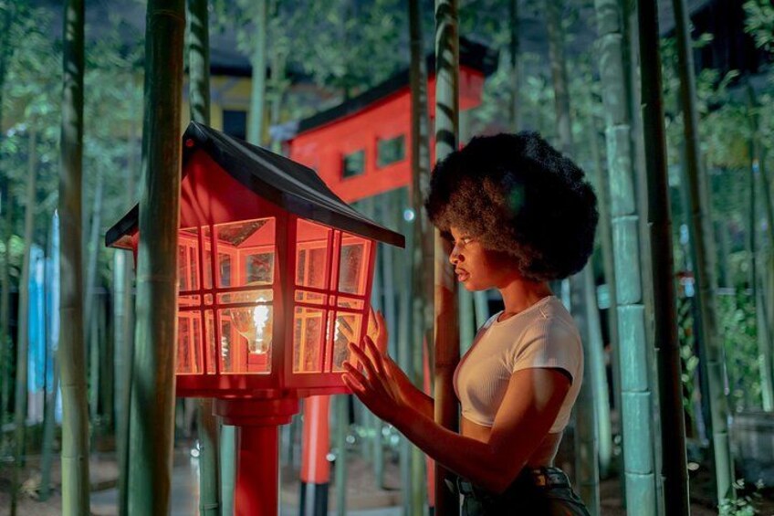 IKONO: a Unique Sensory and Photographic Experience 2