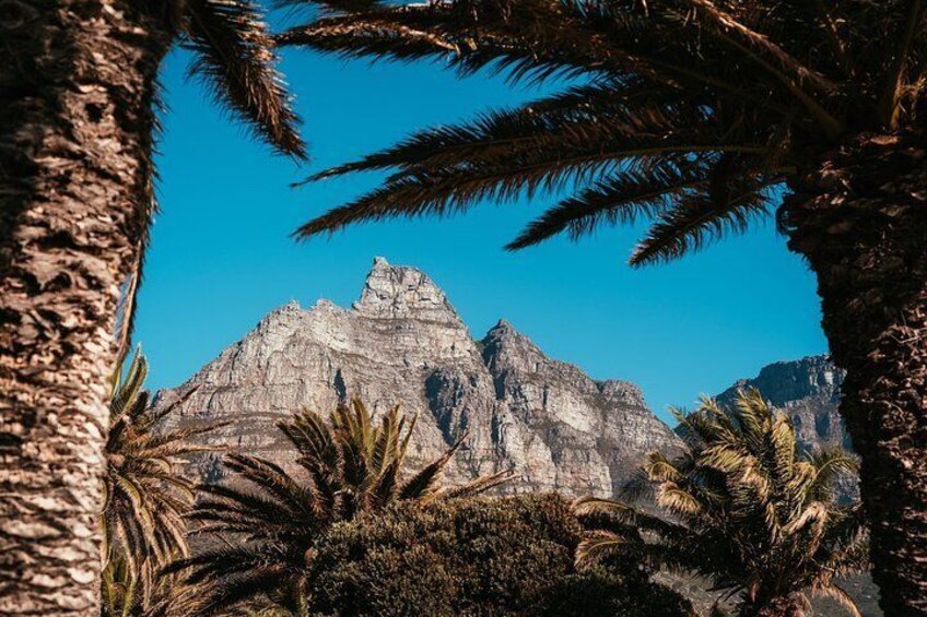 Cape Point Private Day Tour 4