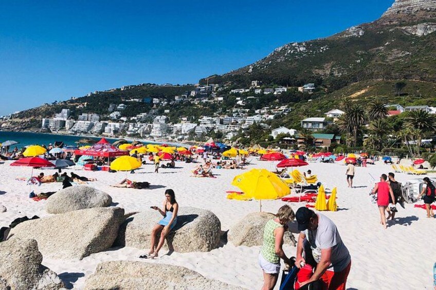 Cape Point Private Day Tour 3