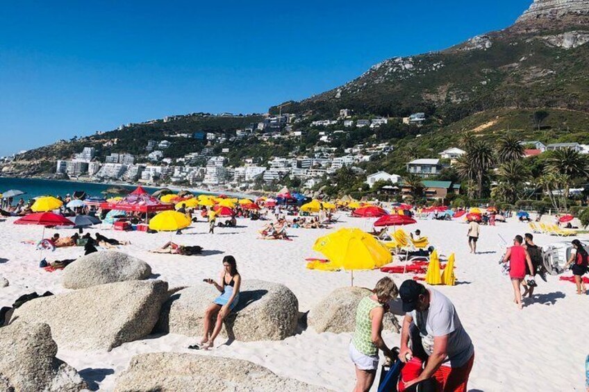 Cape Point Private Day Tour 3