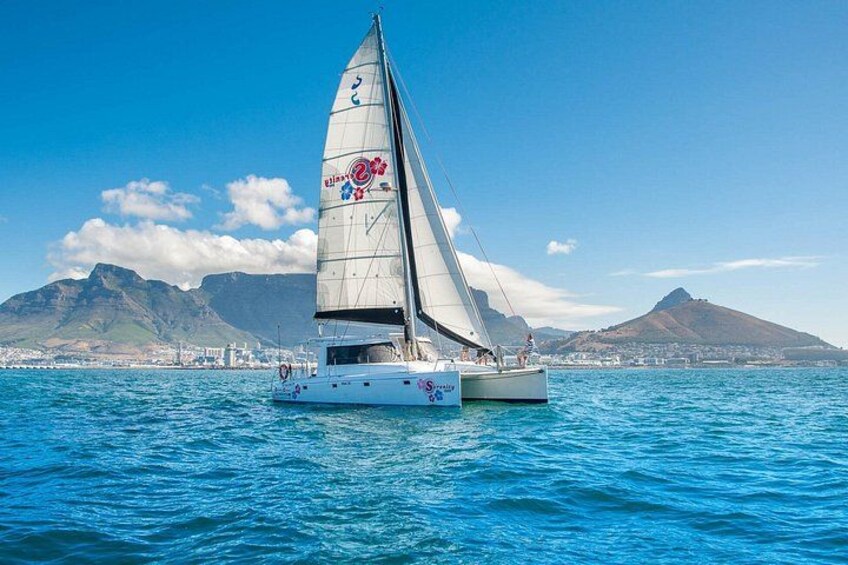 Cruise and Dine Dinner / Cape Town: Sunset Champagne Cruise and 3-Course Dinner 4