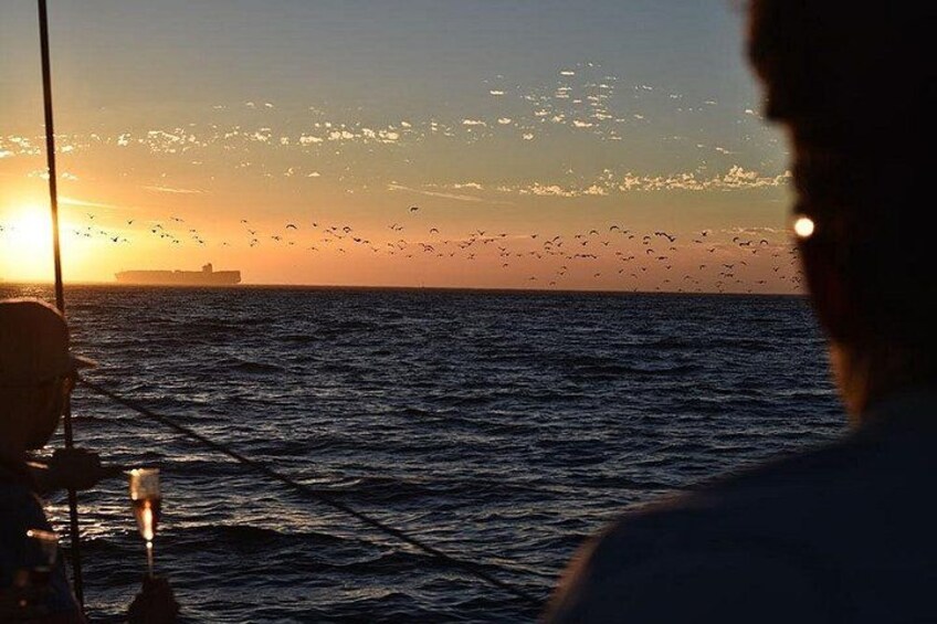 Cruise and Dine Dinner / Cape Town: Sunset Champagne Cruise and 3-Course Dinner 5