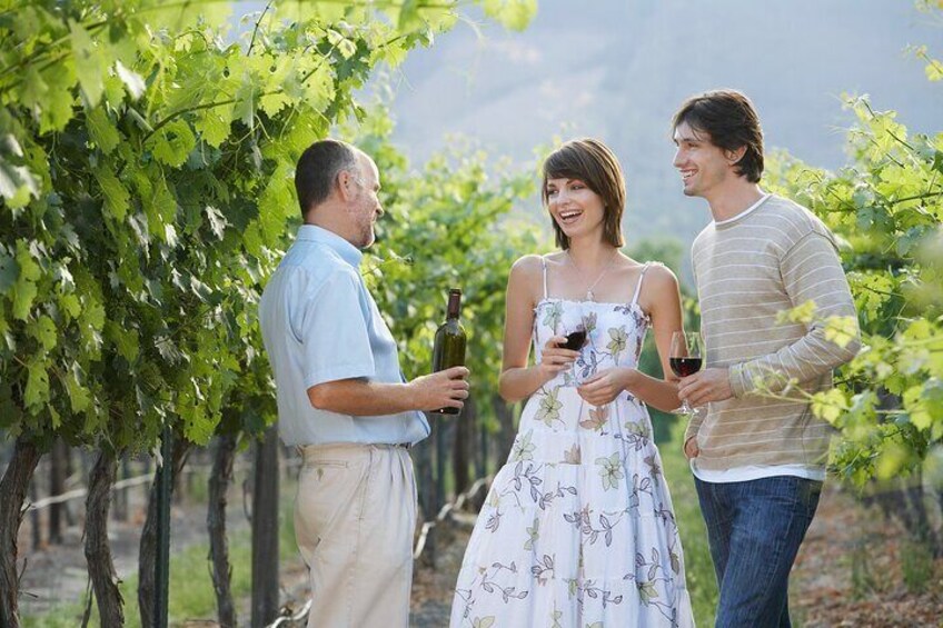 Wineland Wonders Private Tour: Cape Town’s Exquisite Journey 1