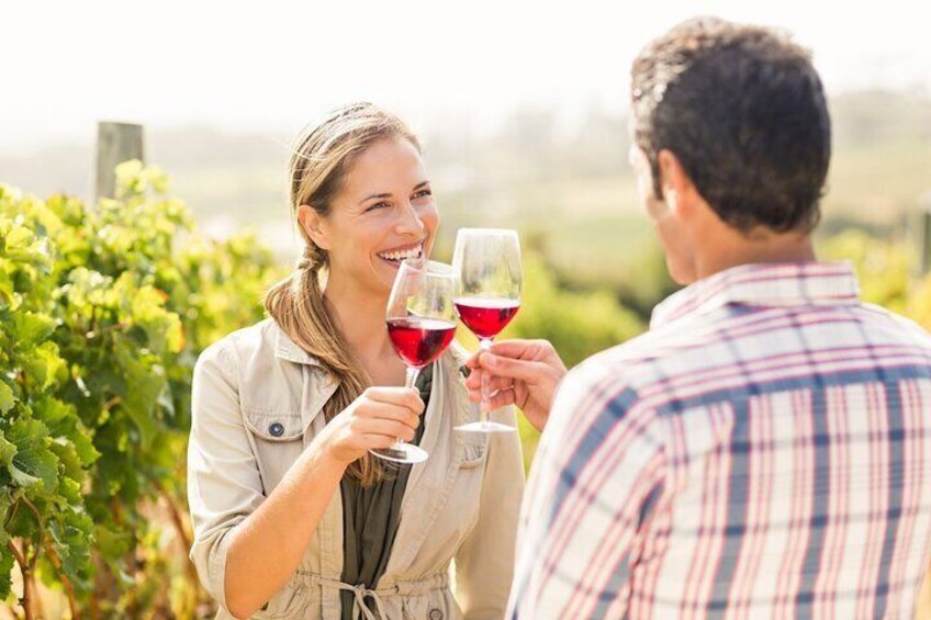 Wineland Wonders Private Tour: Cape Town’s Exquisite Journey 4