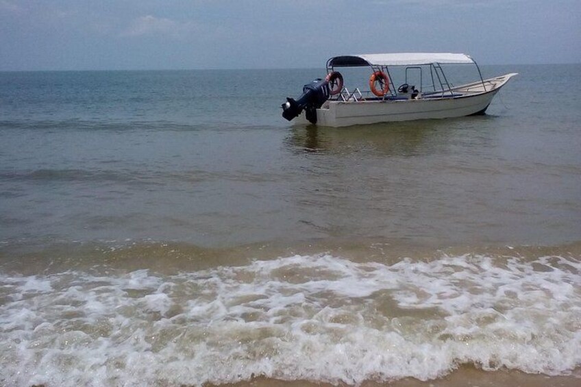 https://media-cdn.tripadvisor.com/media/attractions-splice-spp-720x480/13/e2/d1/bb.jpg 3