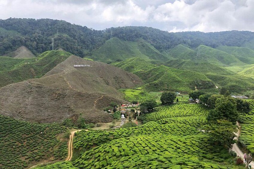 Una plantación de té montañosa con un camino que lleva a un pequeño poblado. 2