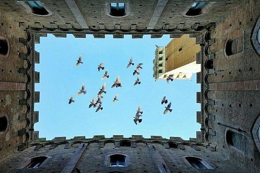 Vista di un edificio storico con un ampio spazio aperto e uccelli in volo. 2
