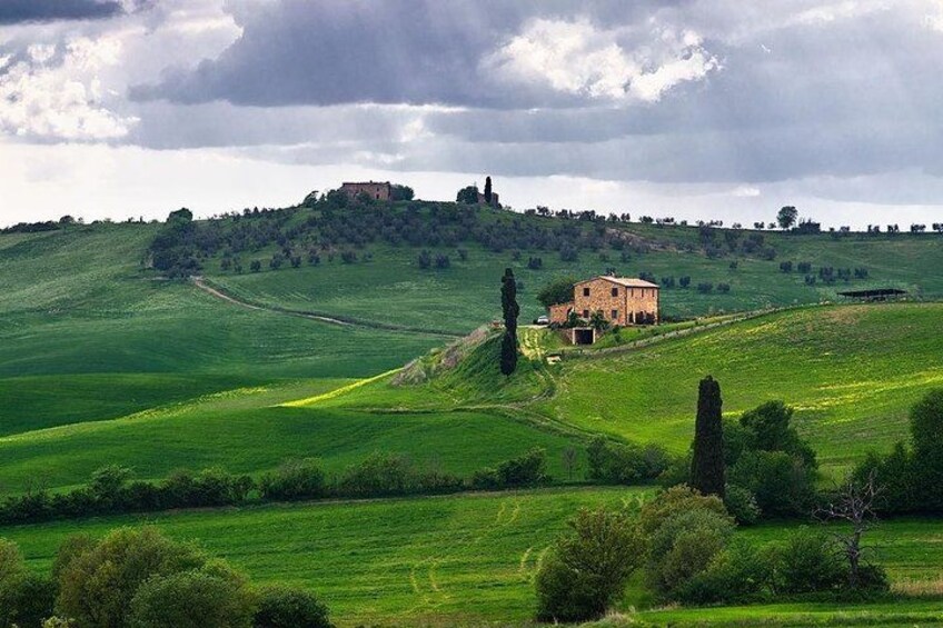 Private Day Trip Tuscany Landscape and Wine Tasting from Florence 2