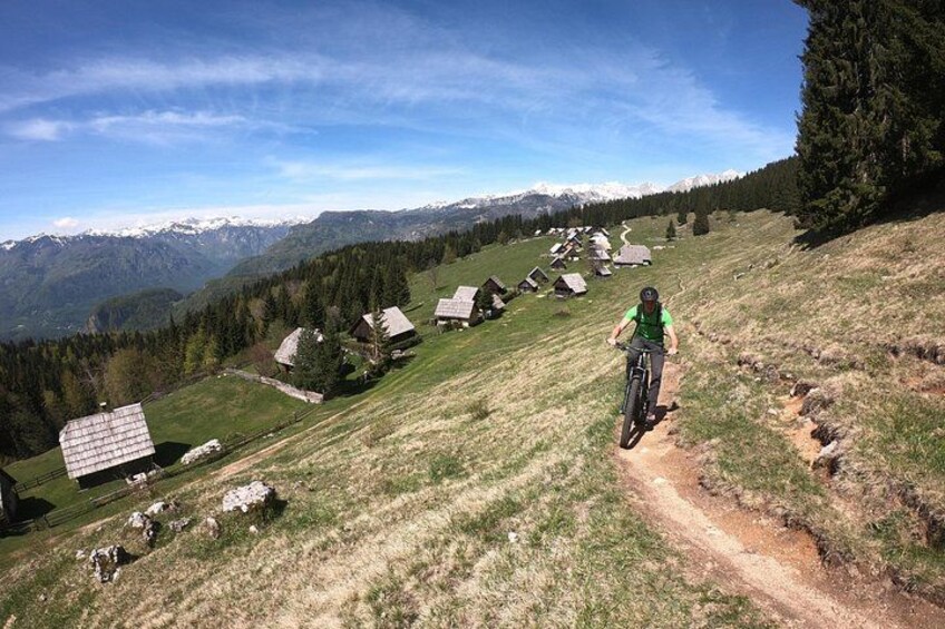 Pokljuka Mountain Biking 3