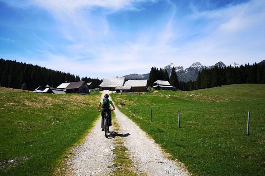 Pokljuka Mountain Biking 4