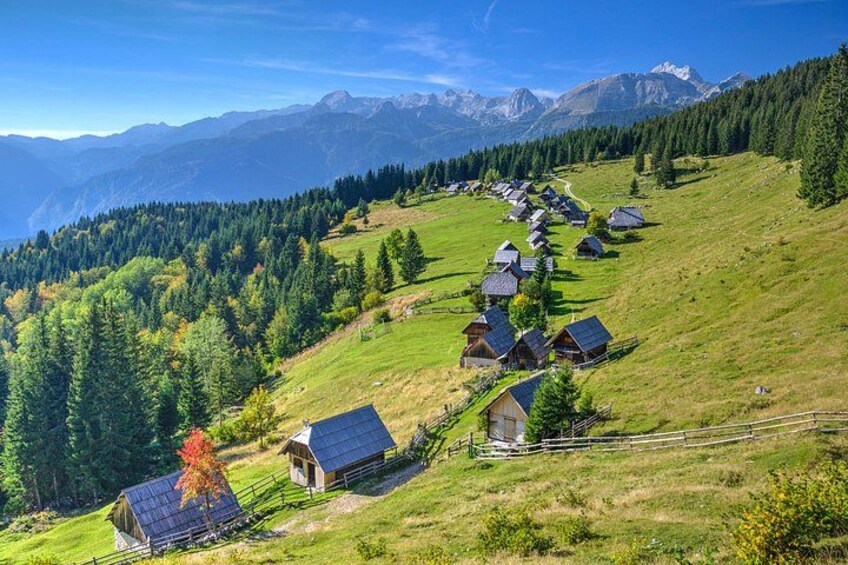Pokljuka Mountain Biking 1