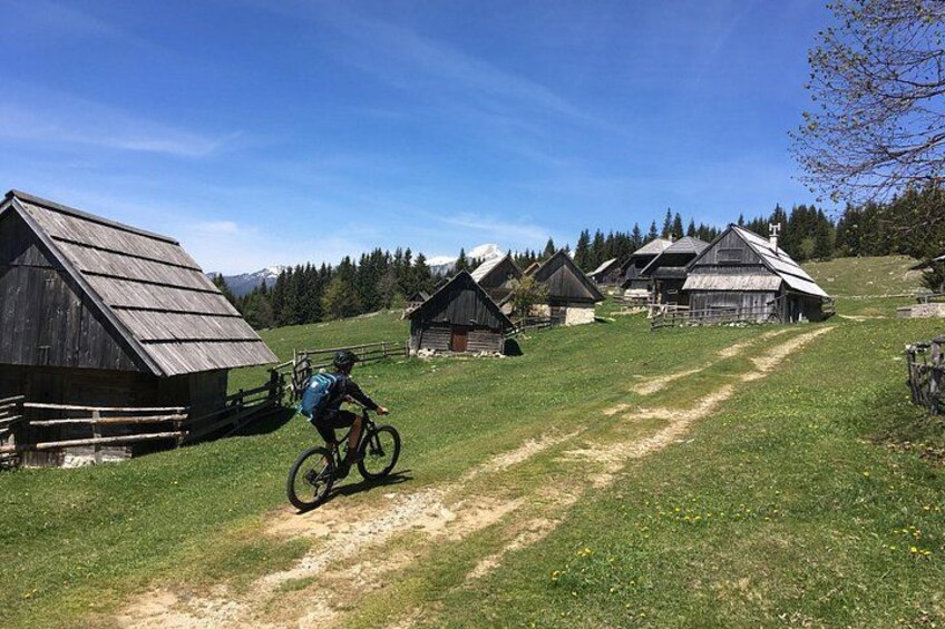 Pokljuka Mountain Biking 2