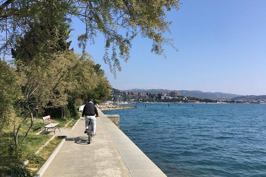 Cycling the Slovenian Coast 5