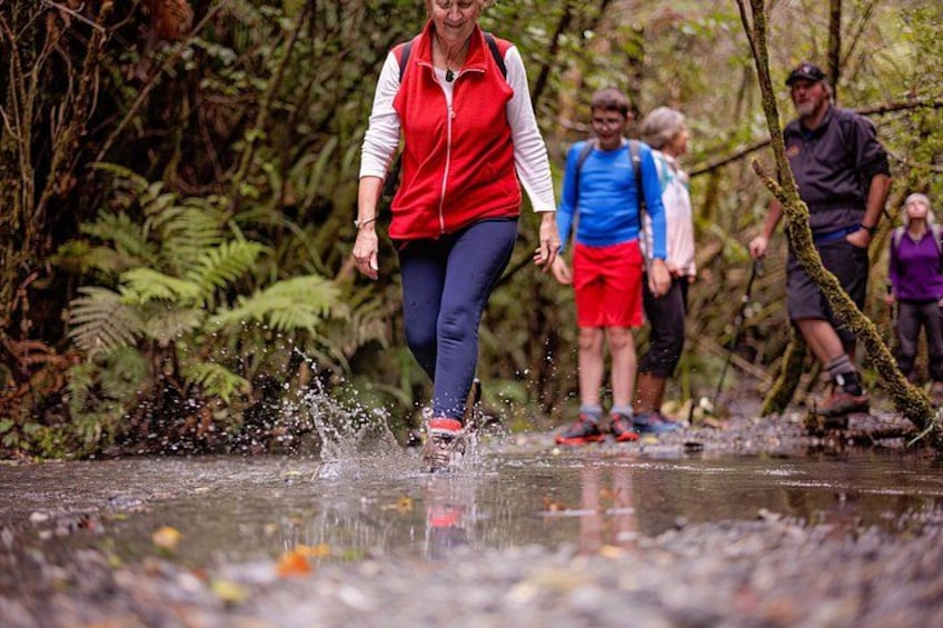 A person crossing a shallow water stream in a forested area. 3