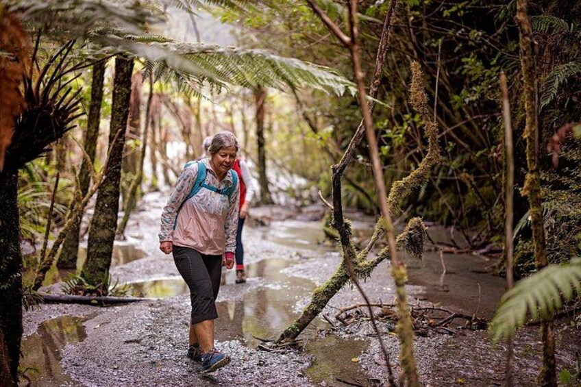A person hiking through a forested area with a stream. 5