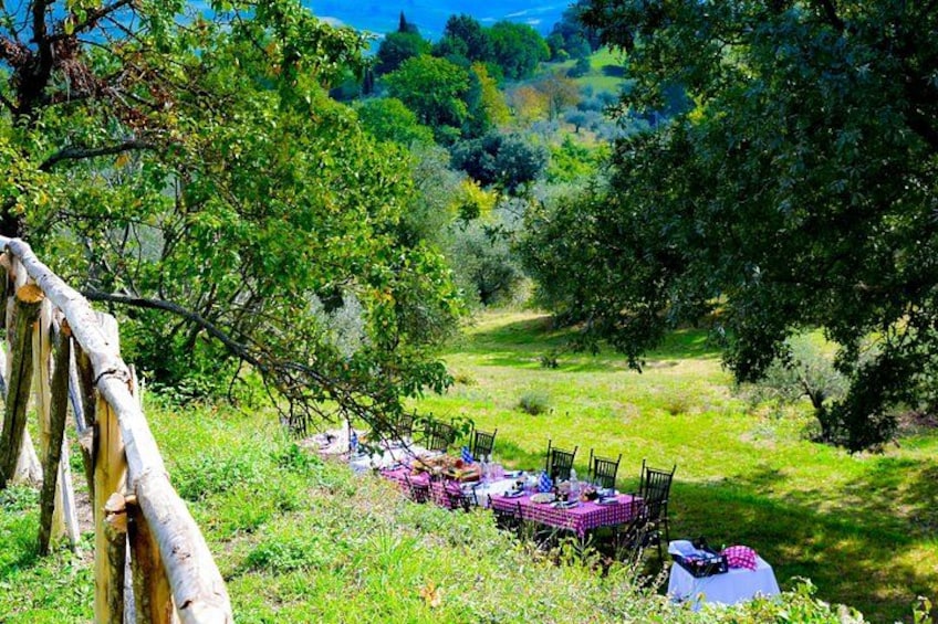 Lunch in the Olive Grove 2