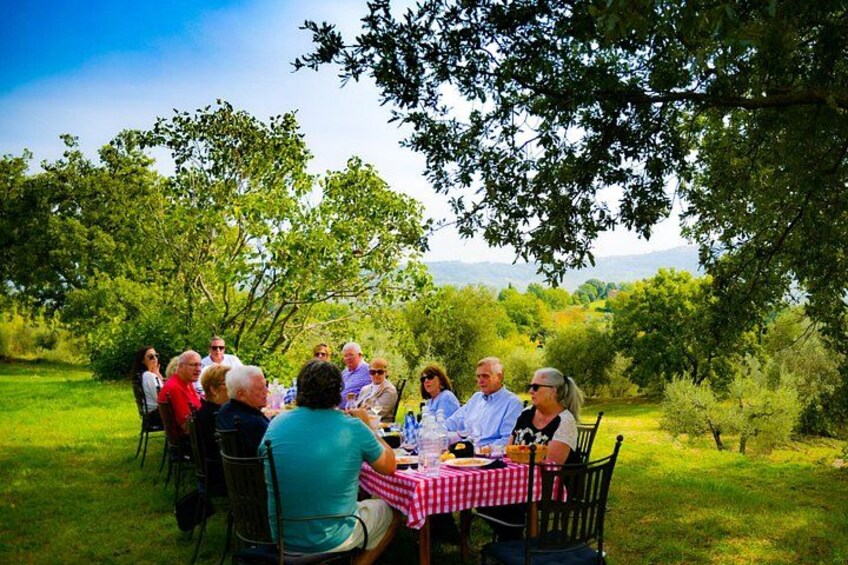 Lunch in the Olive Grove 1
