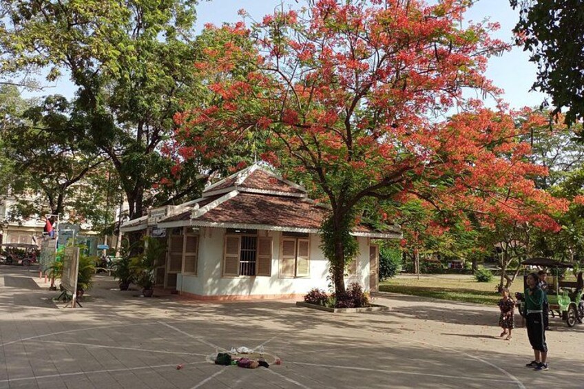 A small building with a tiled roof, surrounded by trees with red flowers, and a paved area with a few people and a bicycle. 5