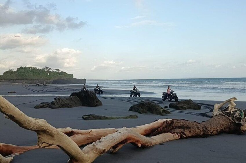 Ein Strand mit großen Felsen und einem umgestürzten Baumstamm. 4